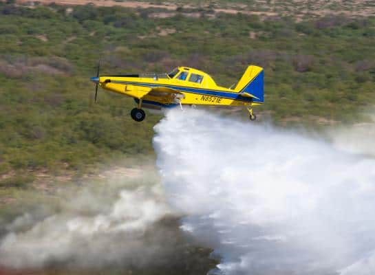 wasp-firefighting-1